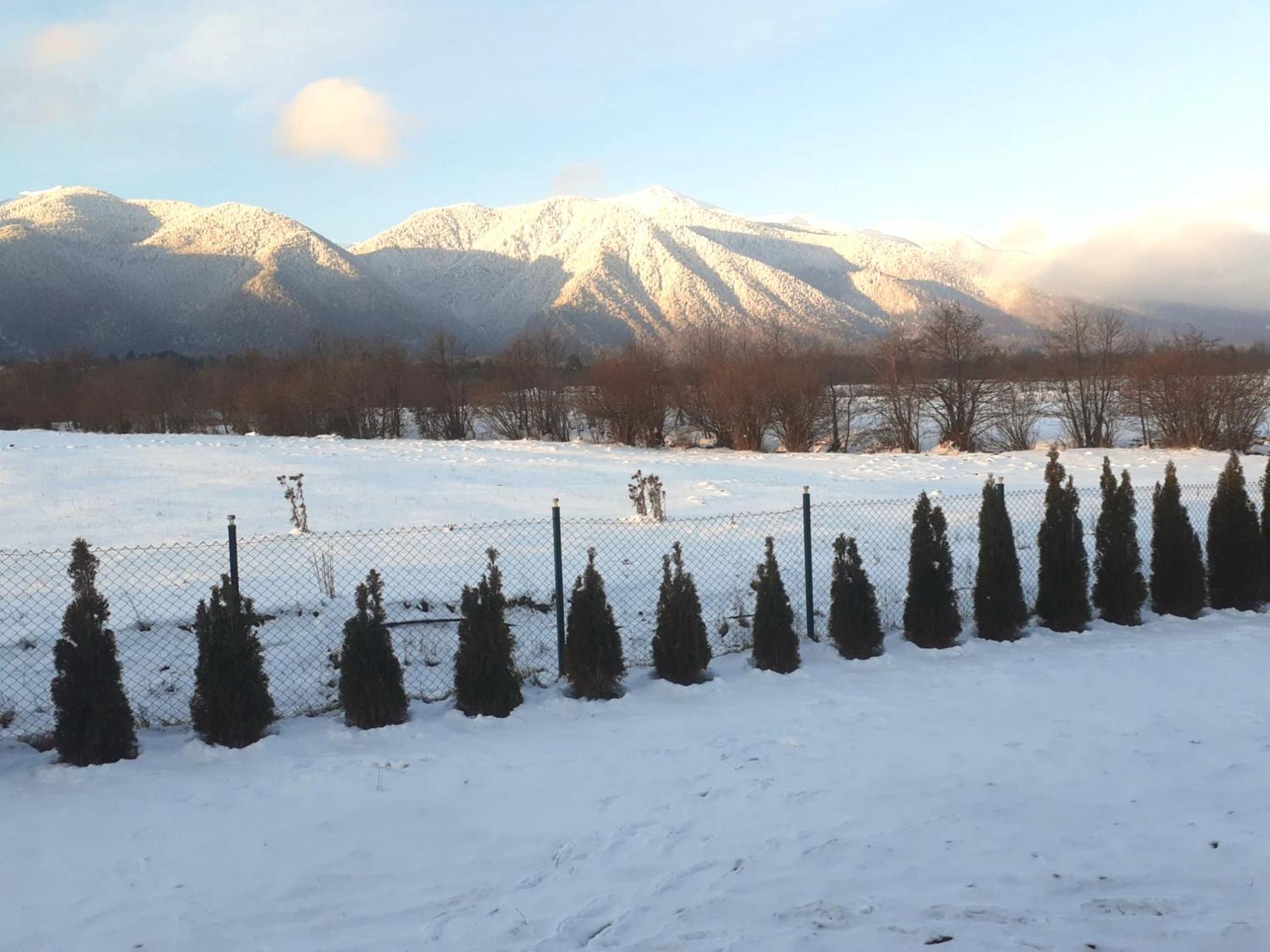 Villa Raphael Near The Pirin Golf Resort 반스코 외부 사진